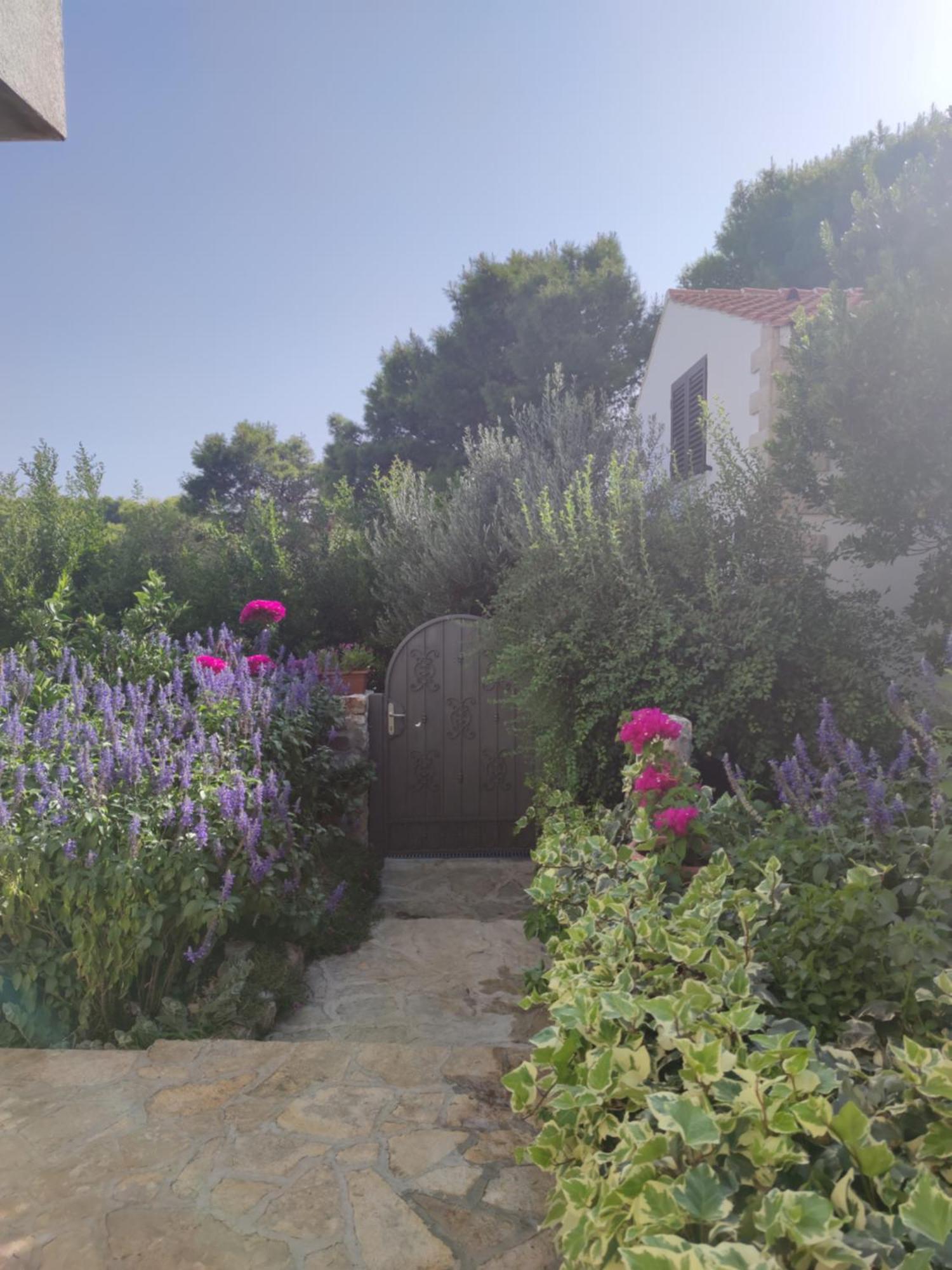 Vacation House Milka Milna  Esterno foto